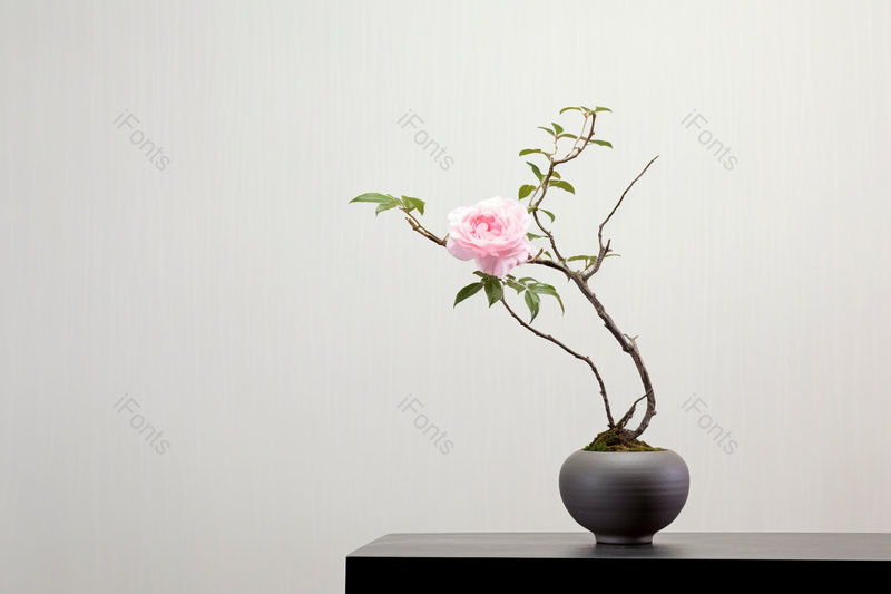 中式花艺器皿室内的绿植室内摆设背景,高清,摄影图,摄影图片,图片大全,摄影图免费下载